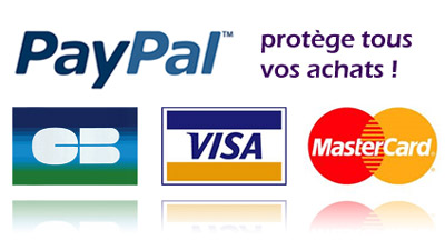 paypal2